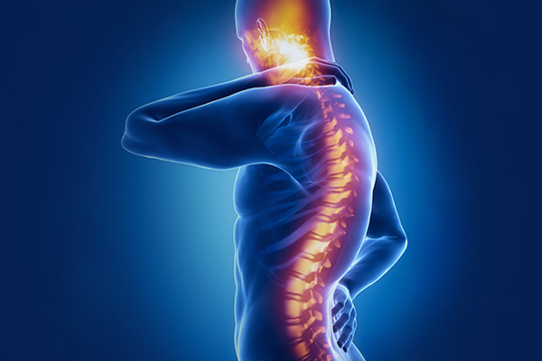 dott michele saporito ortopedico